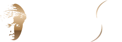 Nemesis Promotion Immobilliere